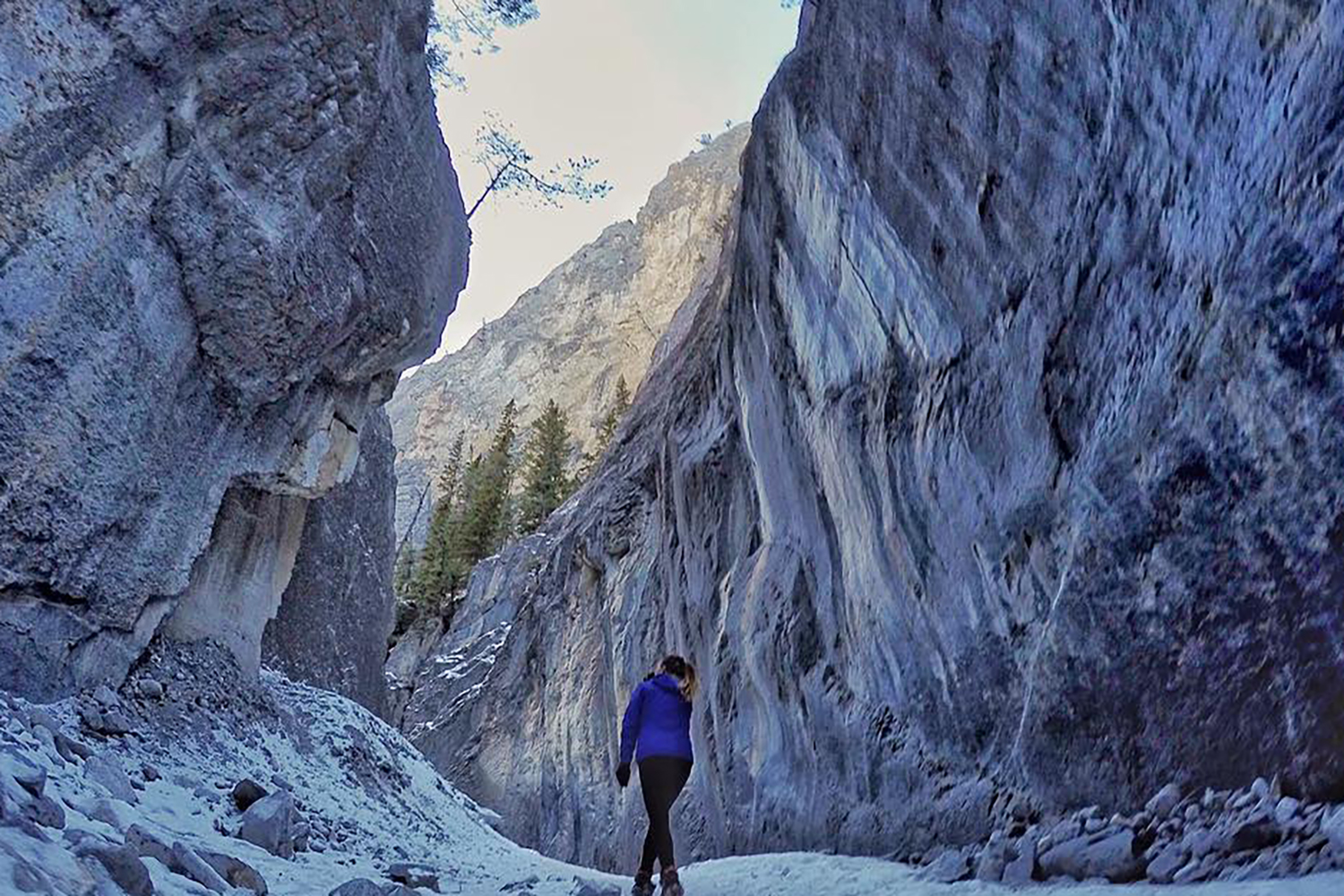 mountain hike banff