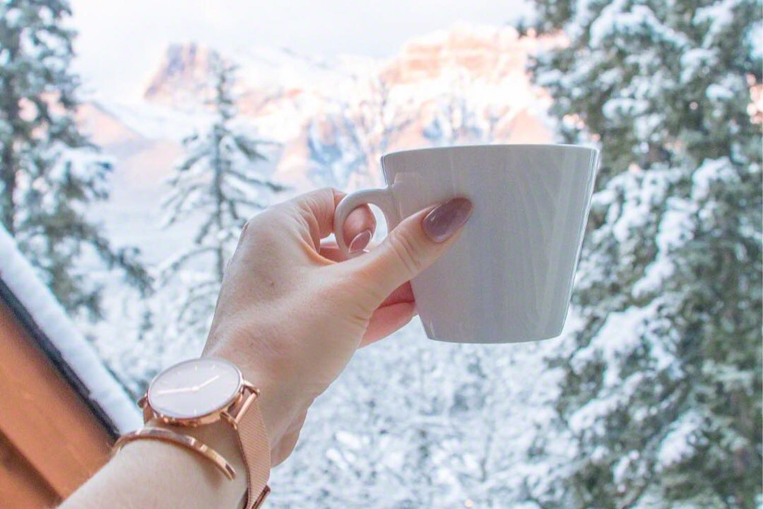 cup hand mountains solara