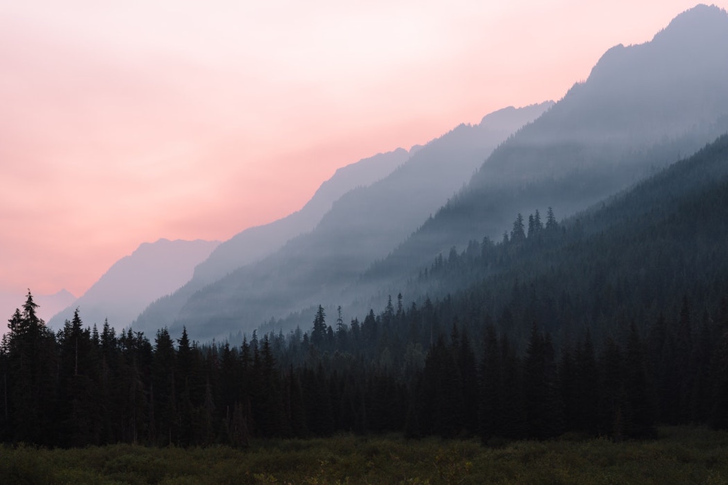 wildfires