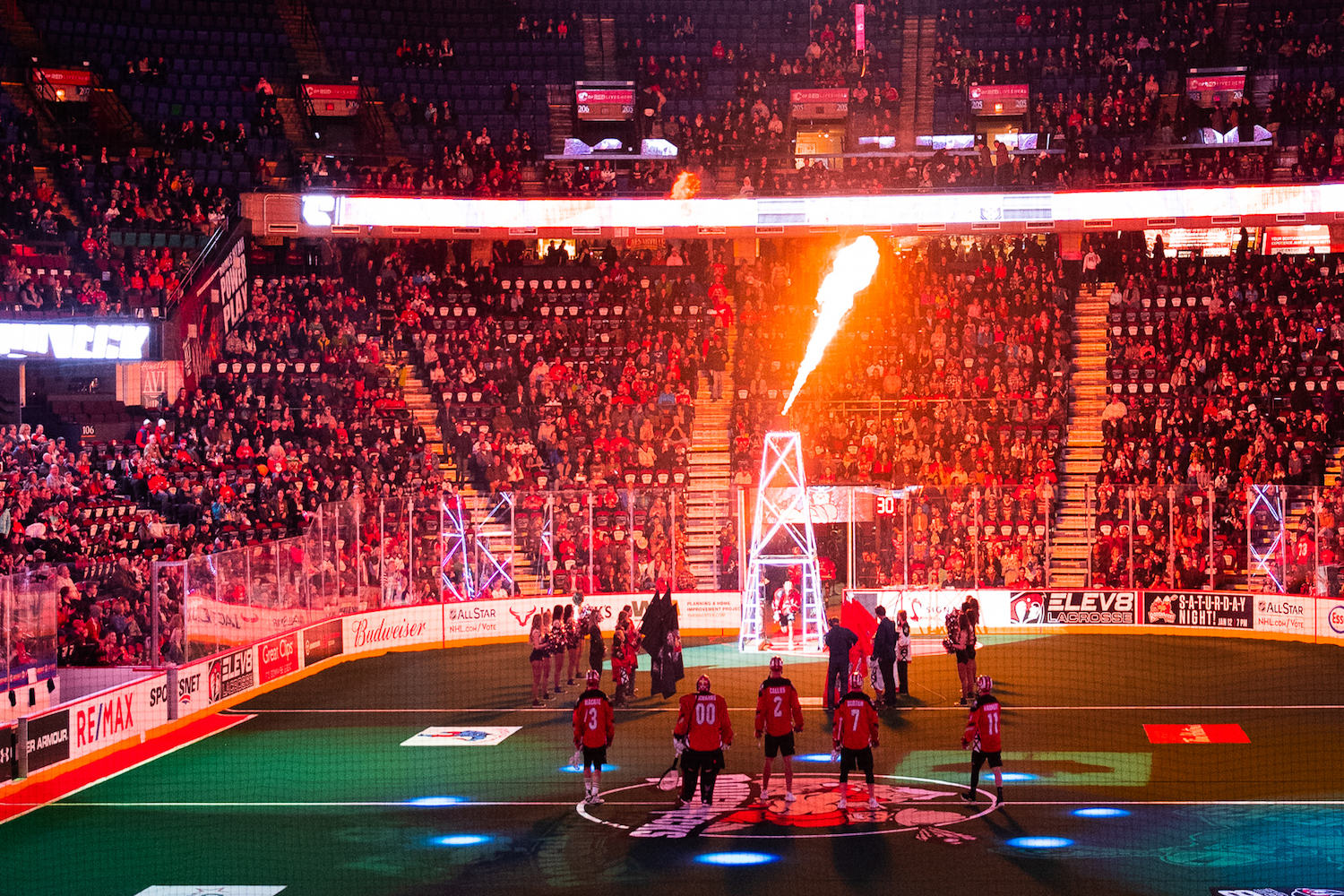 roughnecks calgary lacrosse