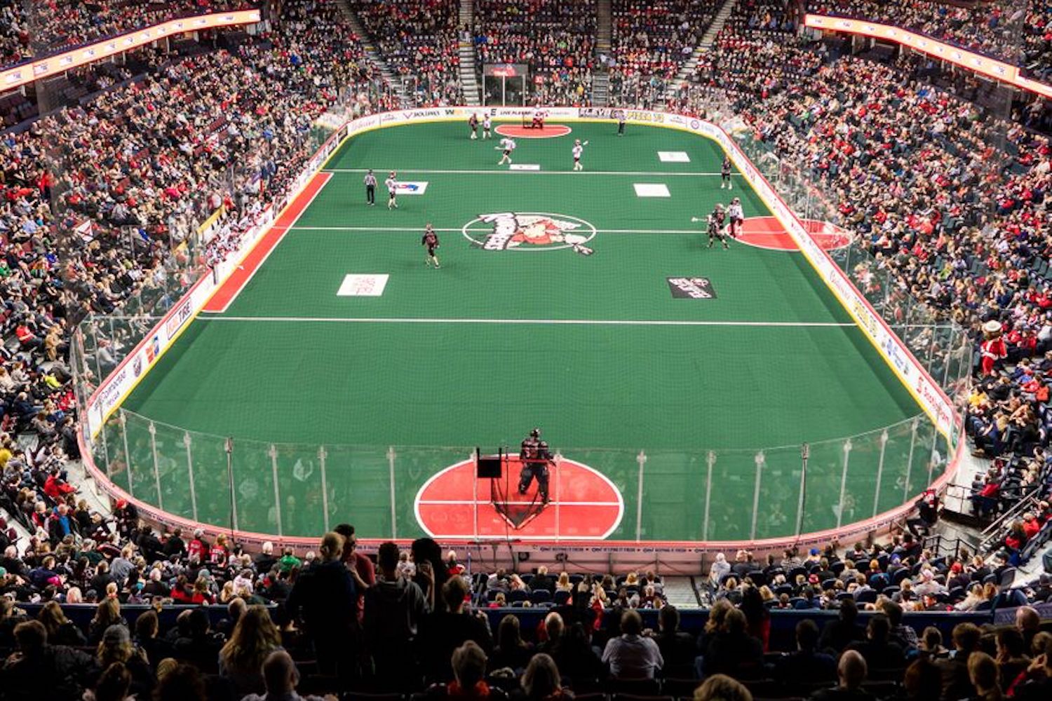 calgary roughnecks home opener
