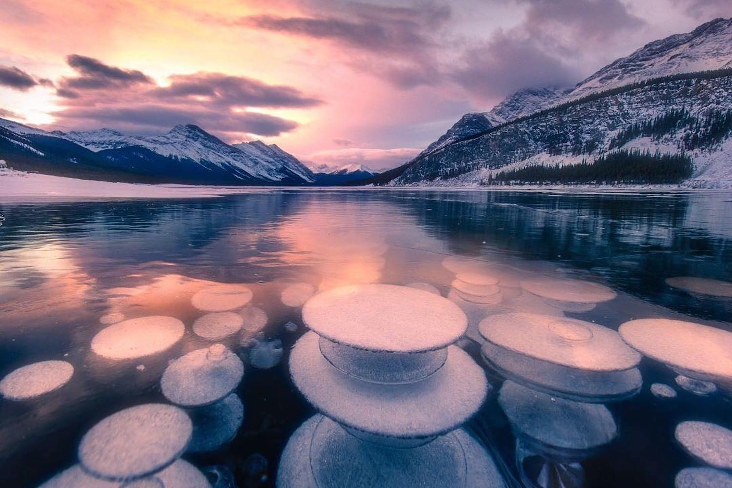 methane bubbles frozen lake