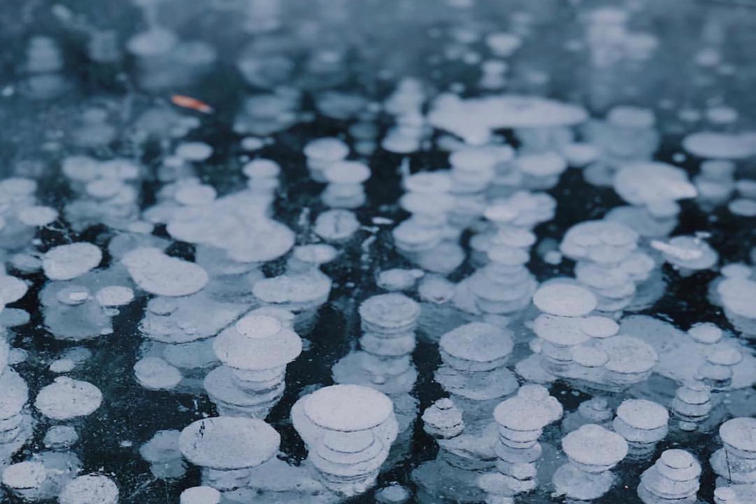 methane bubbles ice