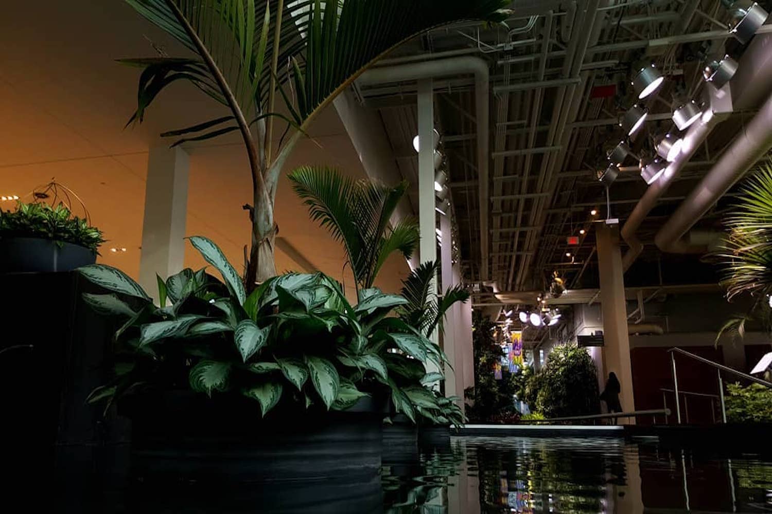 devonian gardens calgary
