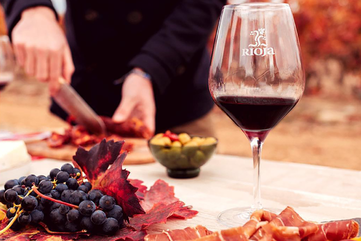 rioja wine and cheese