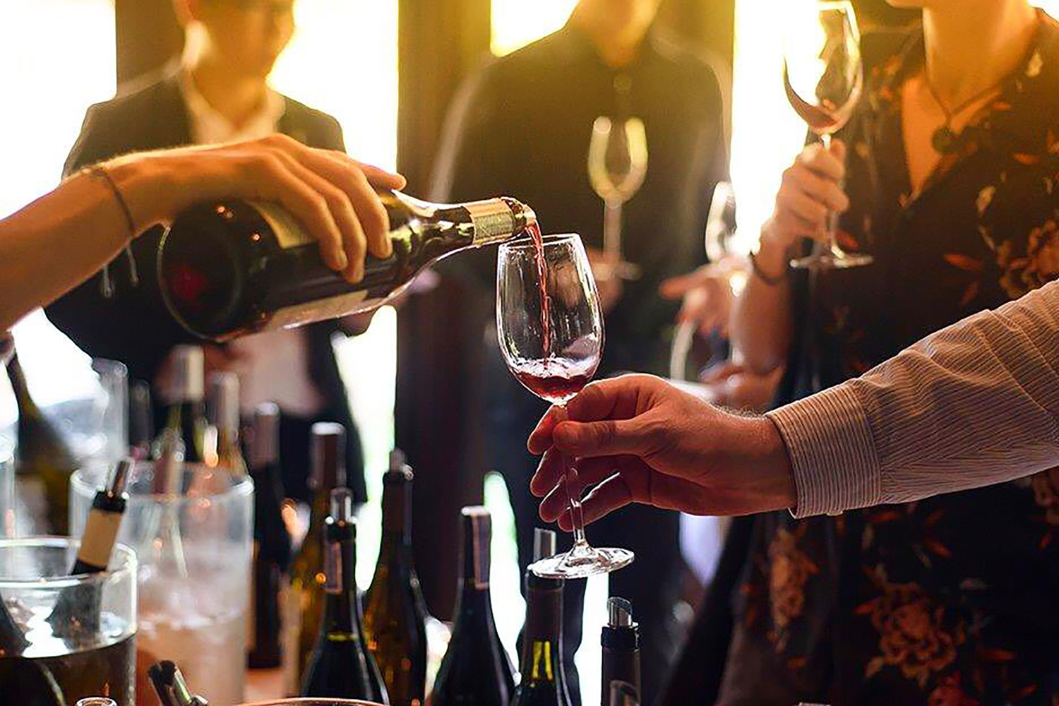 rocky mountain wine things to do in calgary this week