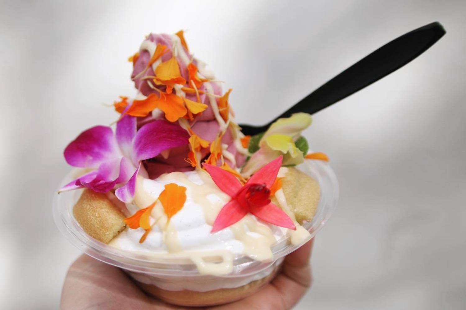 wiz bang bar sundae
