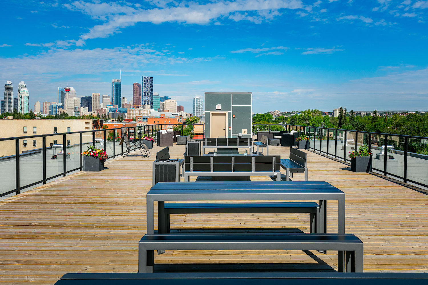 rental of the week inglewood