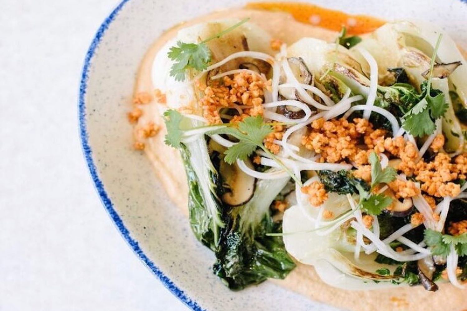 plant based calgary