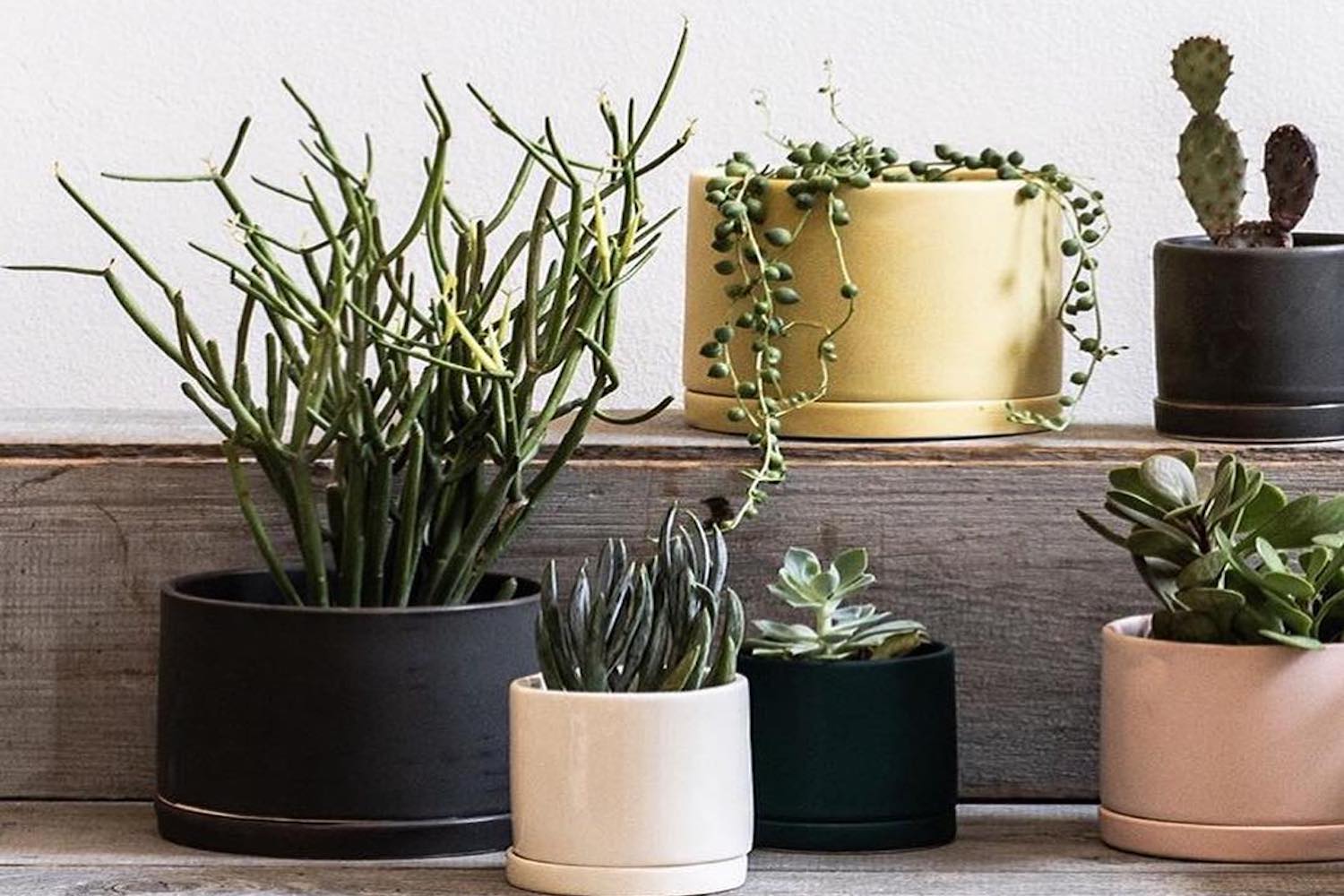 plant workshop easter