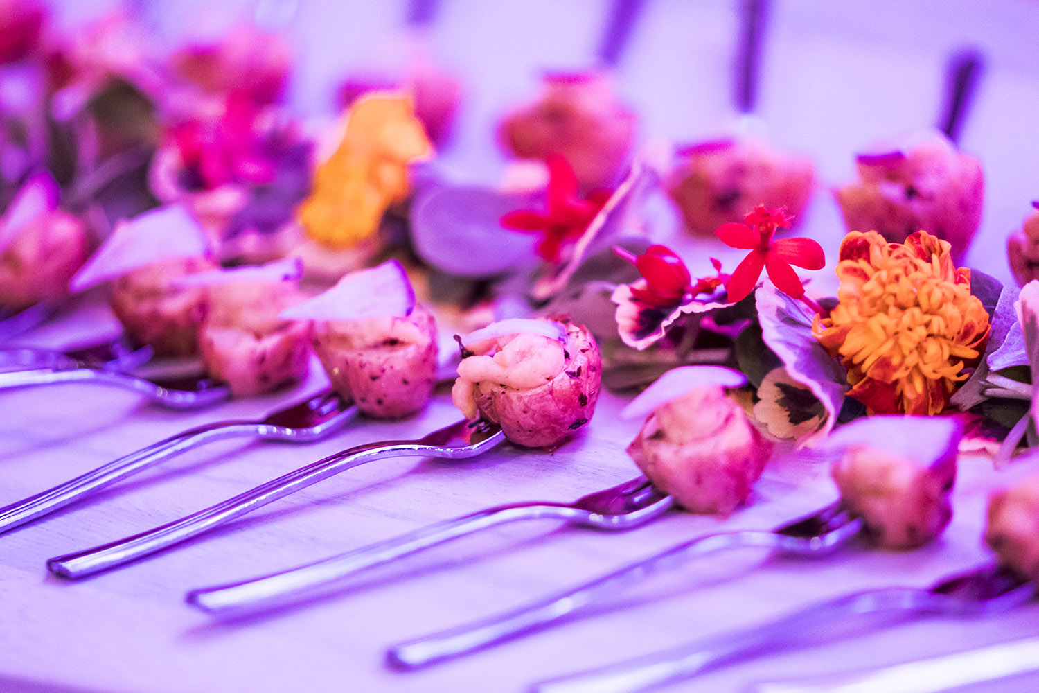 planted-dinner-series