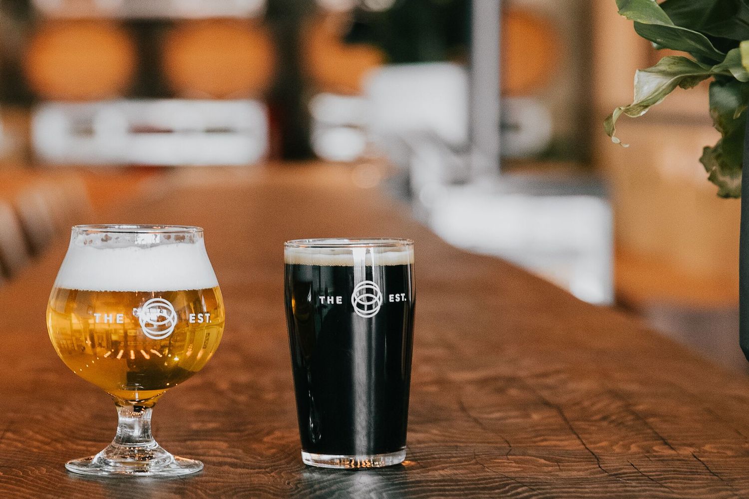 establishment brewing beer calgary