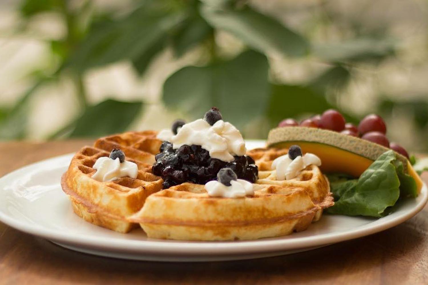 waffle