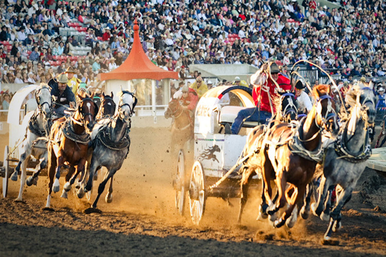 things you can only do in calgary stampede