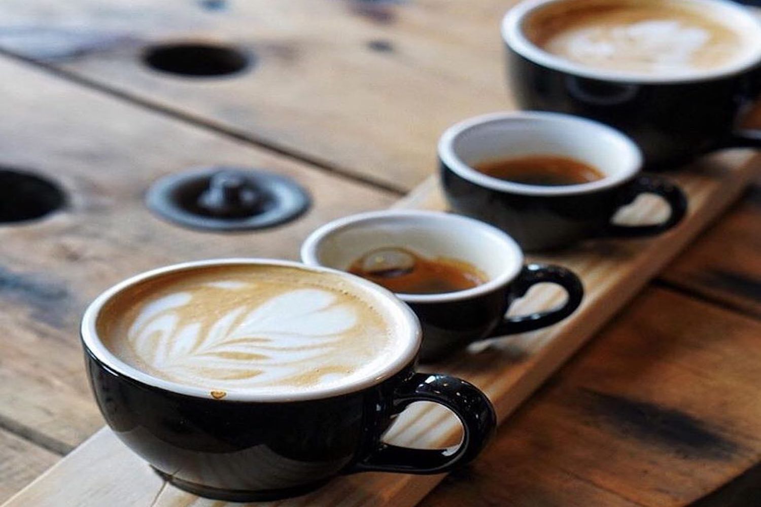 essential calgary coffee shops