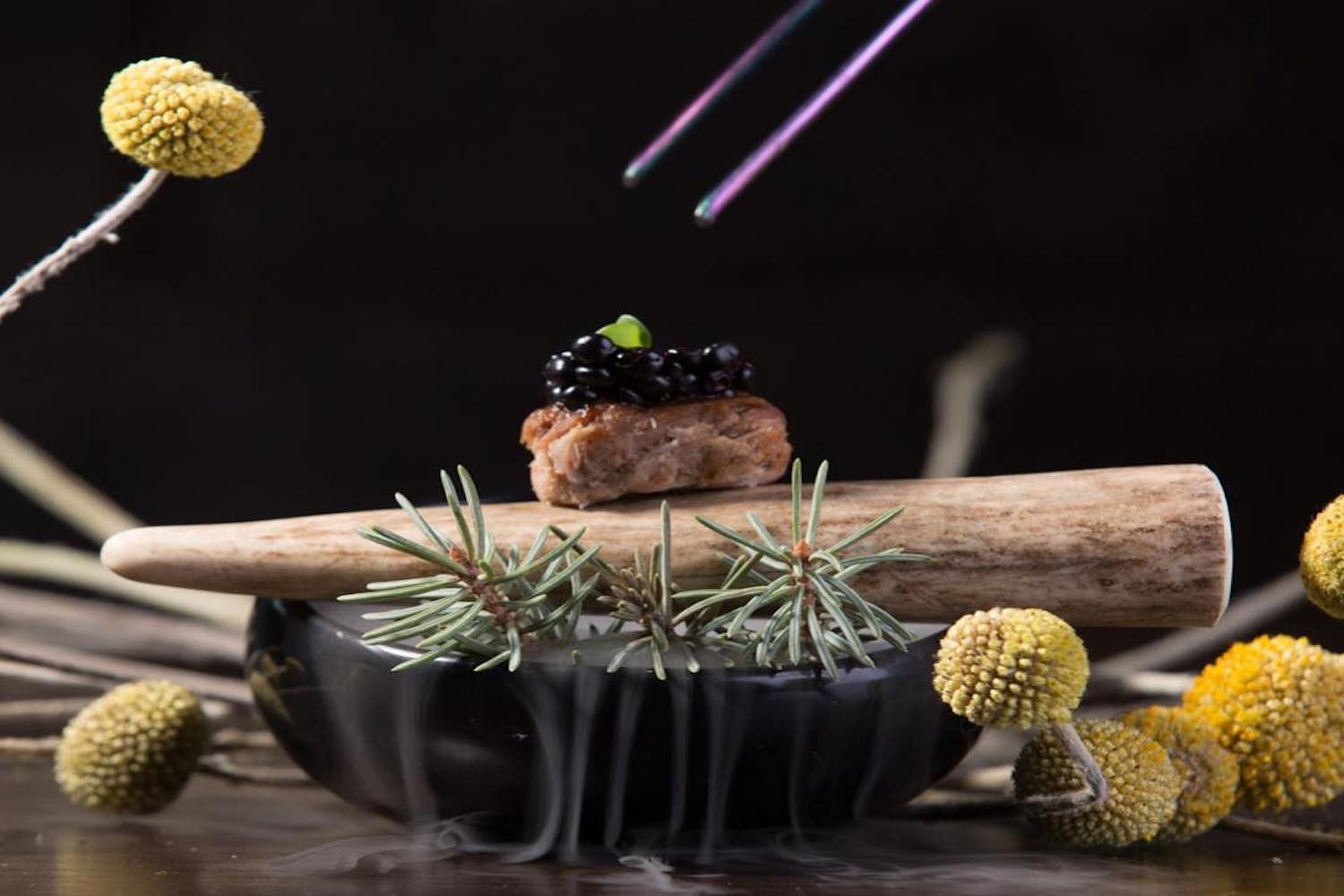 sensory & wit bar canmore