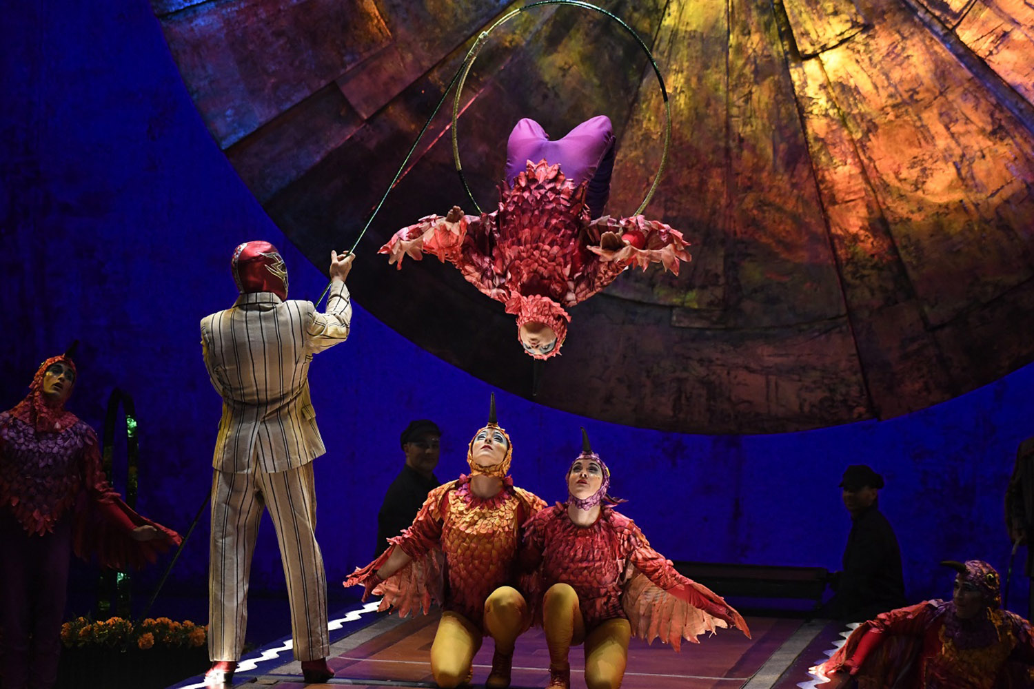 Cirque de Soleil's performance in Calgary, titled "Luzia"