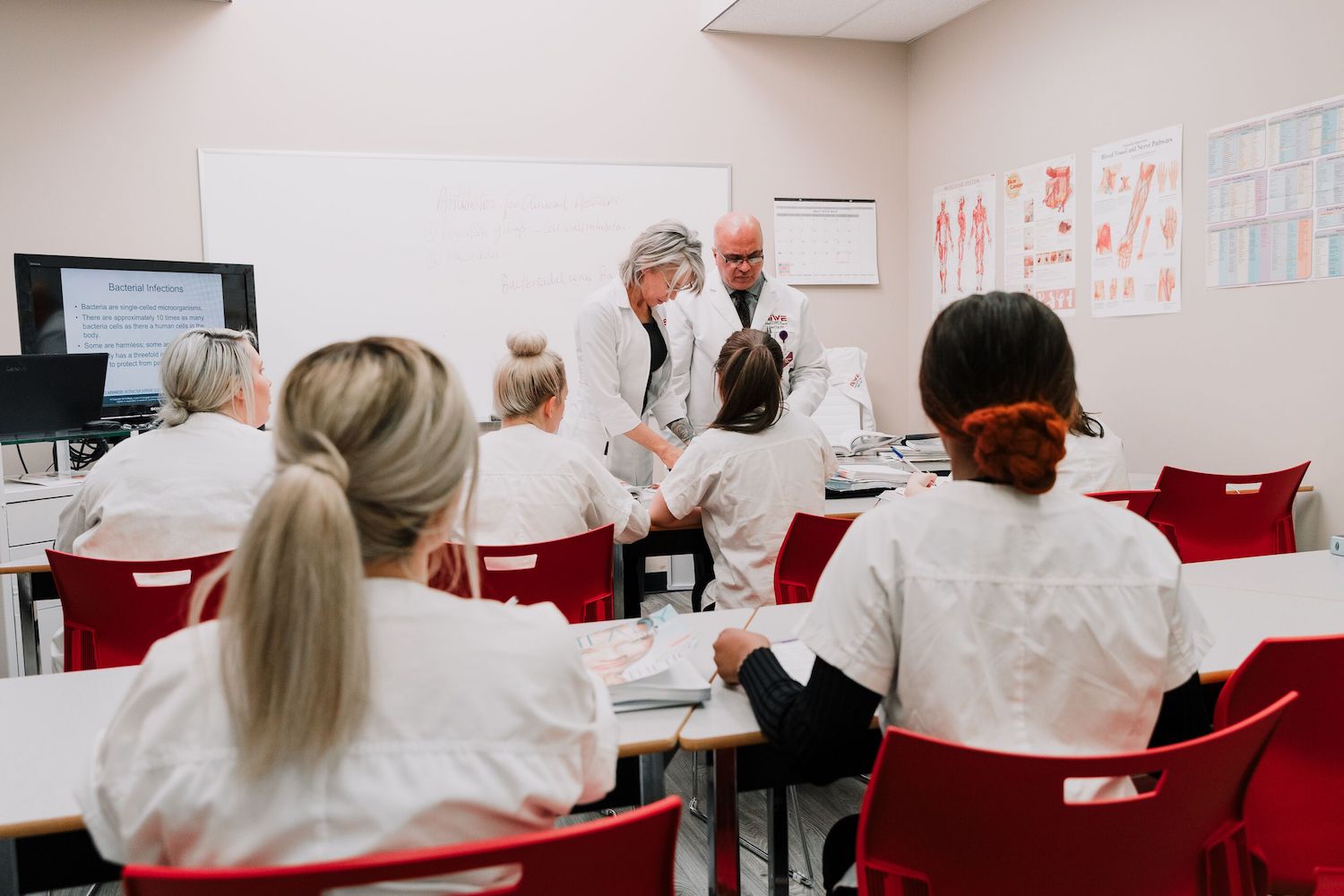 niwe calgary