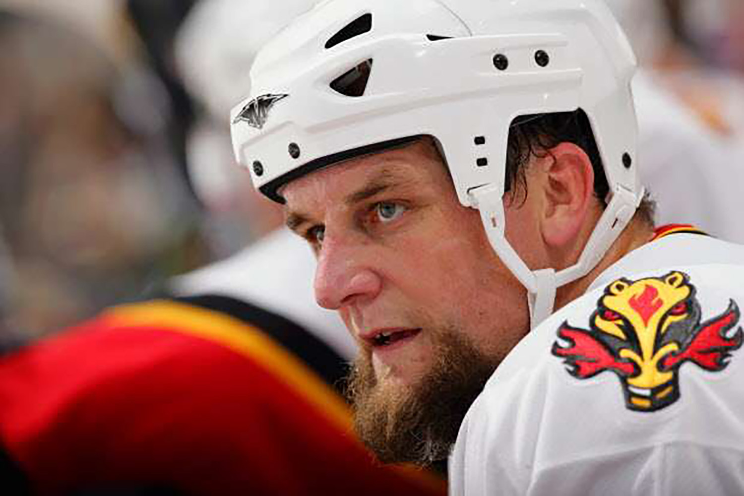 flames division champs