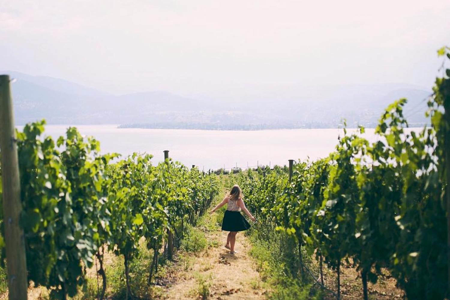 ab bc wineries