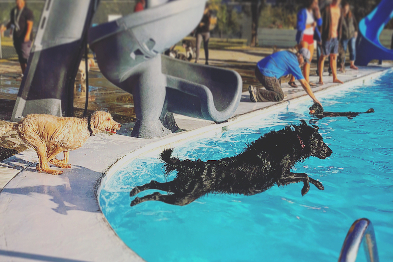 outdoor pools calgary