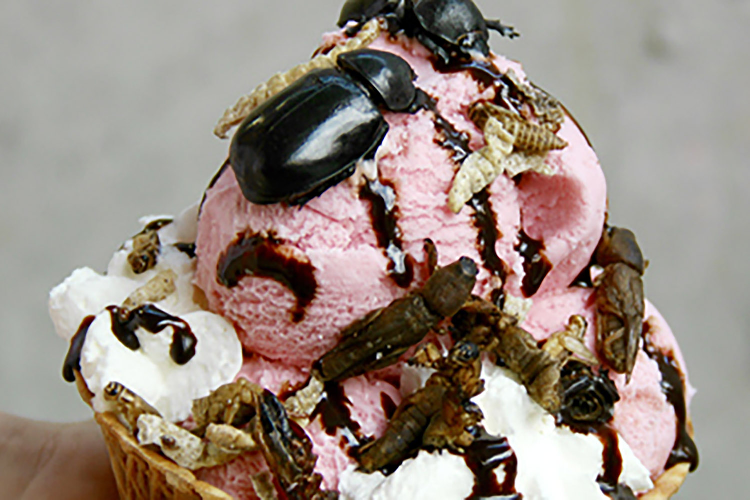 calgary stampede food