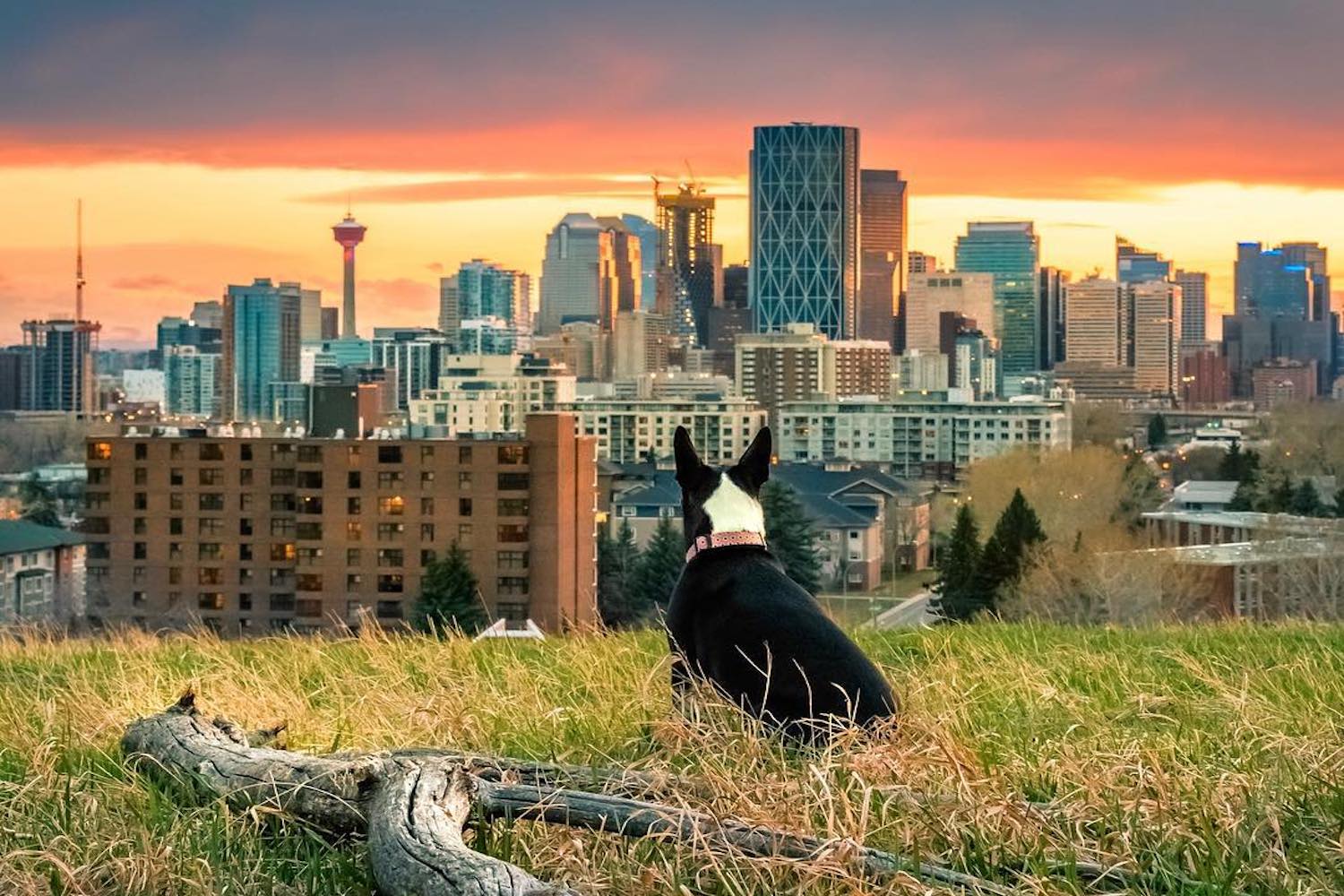 calgary photographers