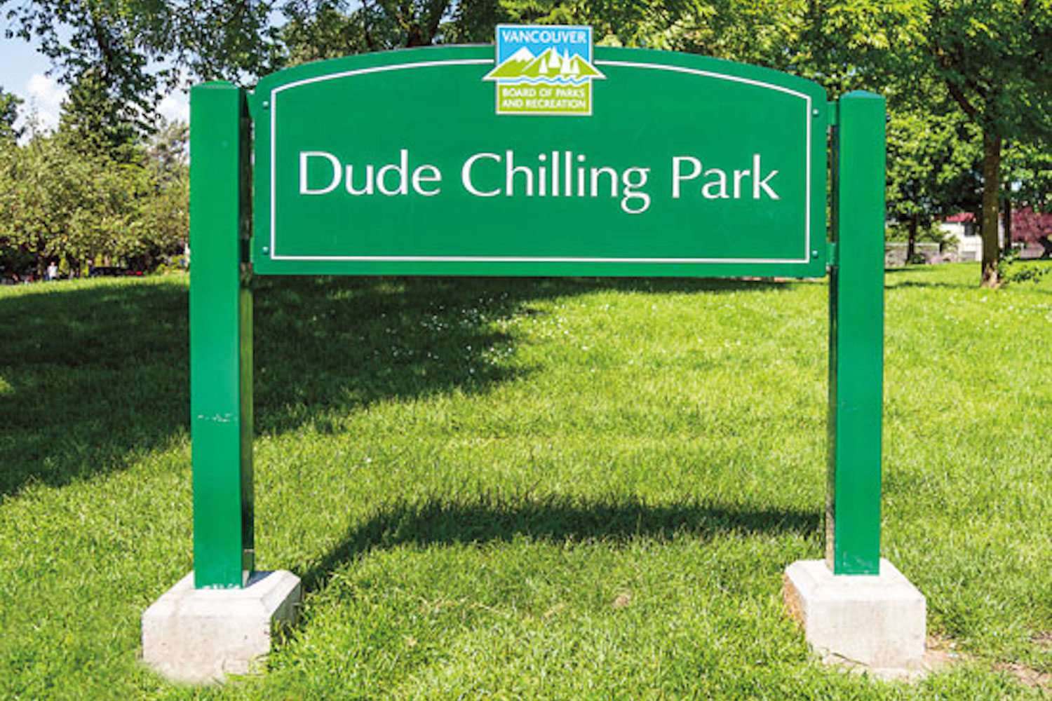 dude chilling park