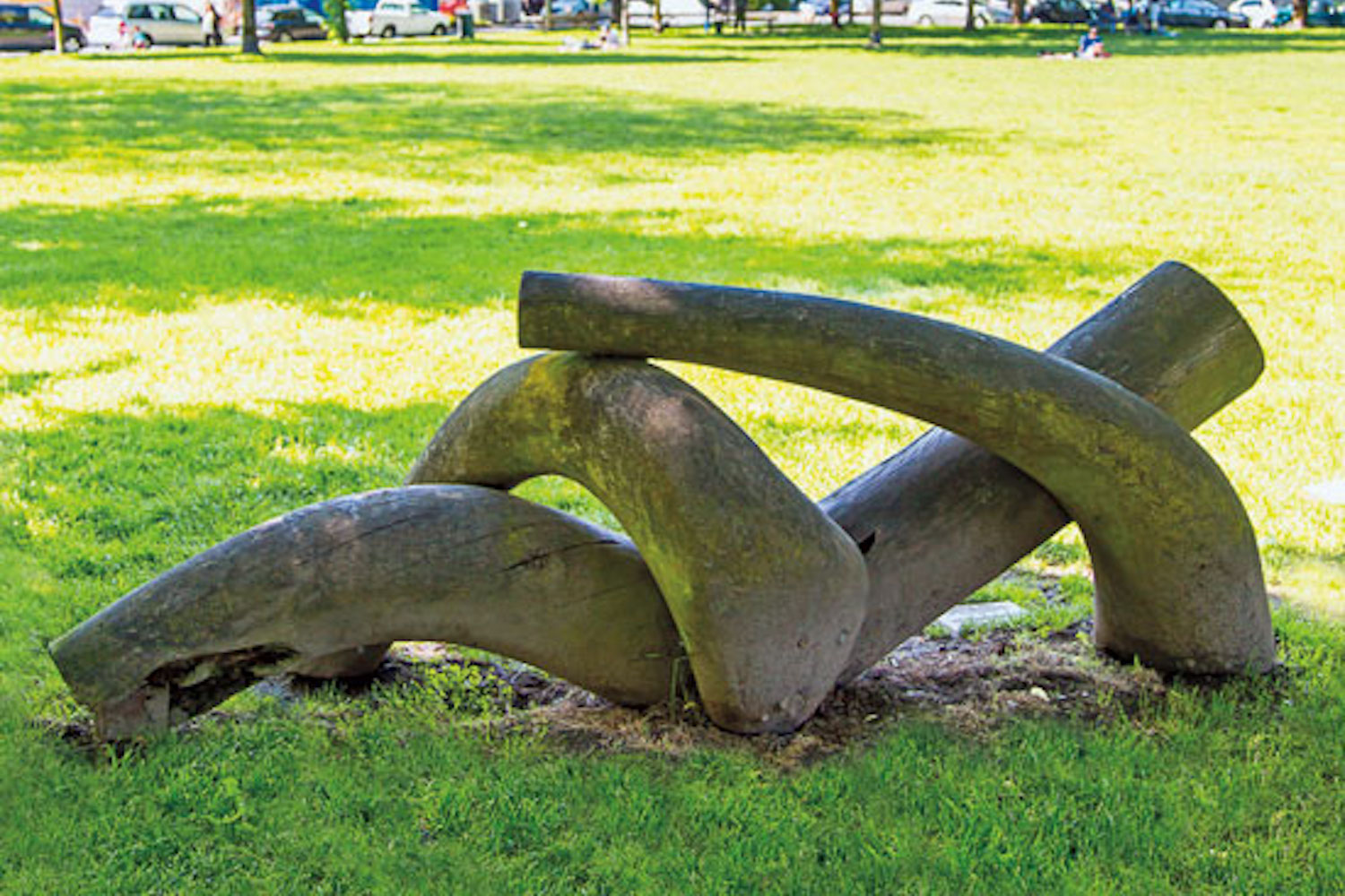 dude chilling park