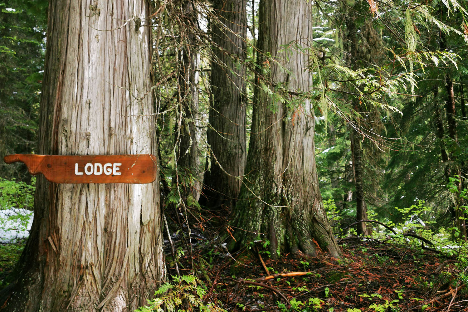 island lake lodge trail