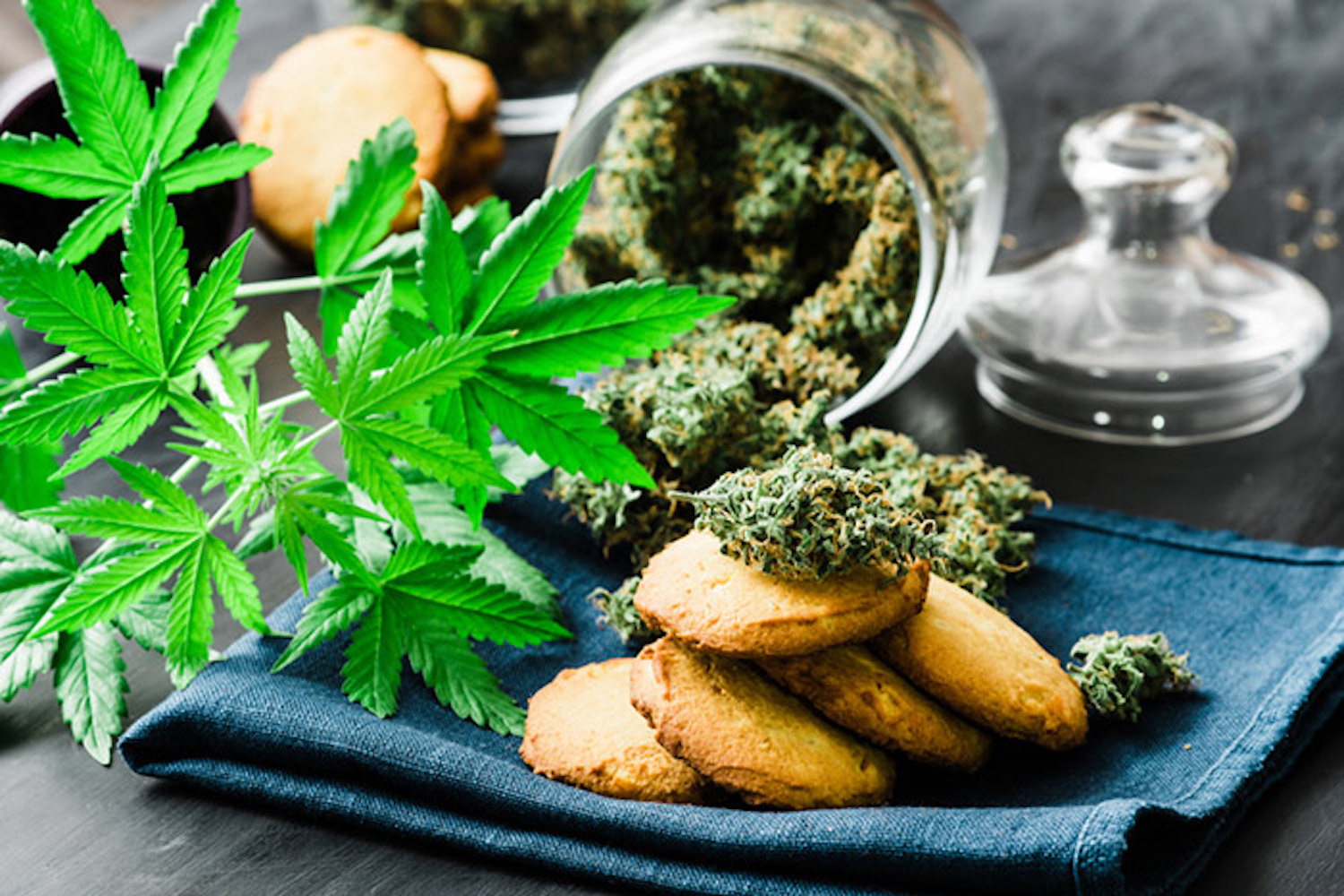 edible cannabis canada