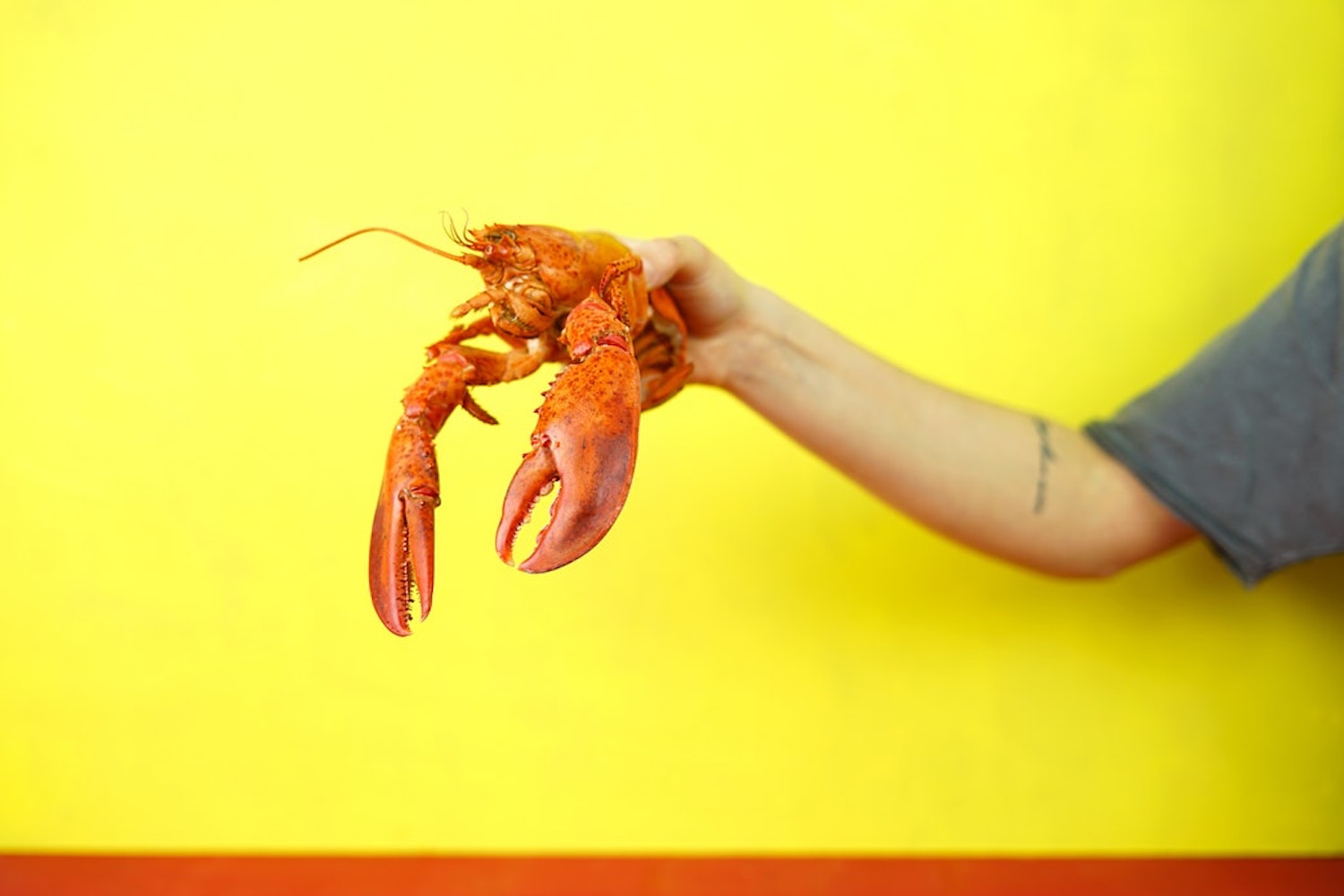 lobster bbq