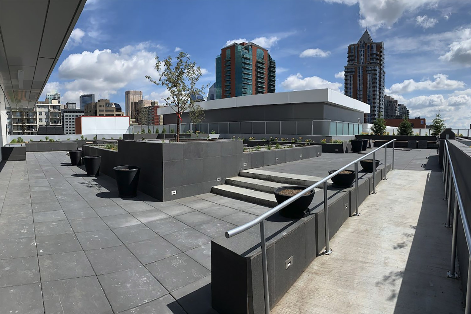 Calgary Rental of the week