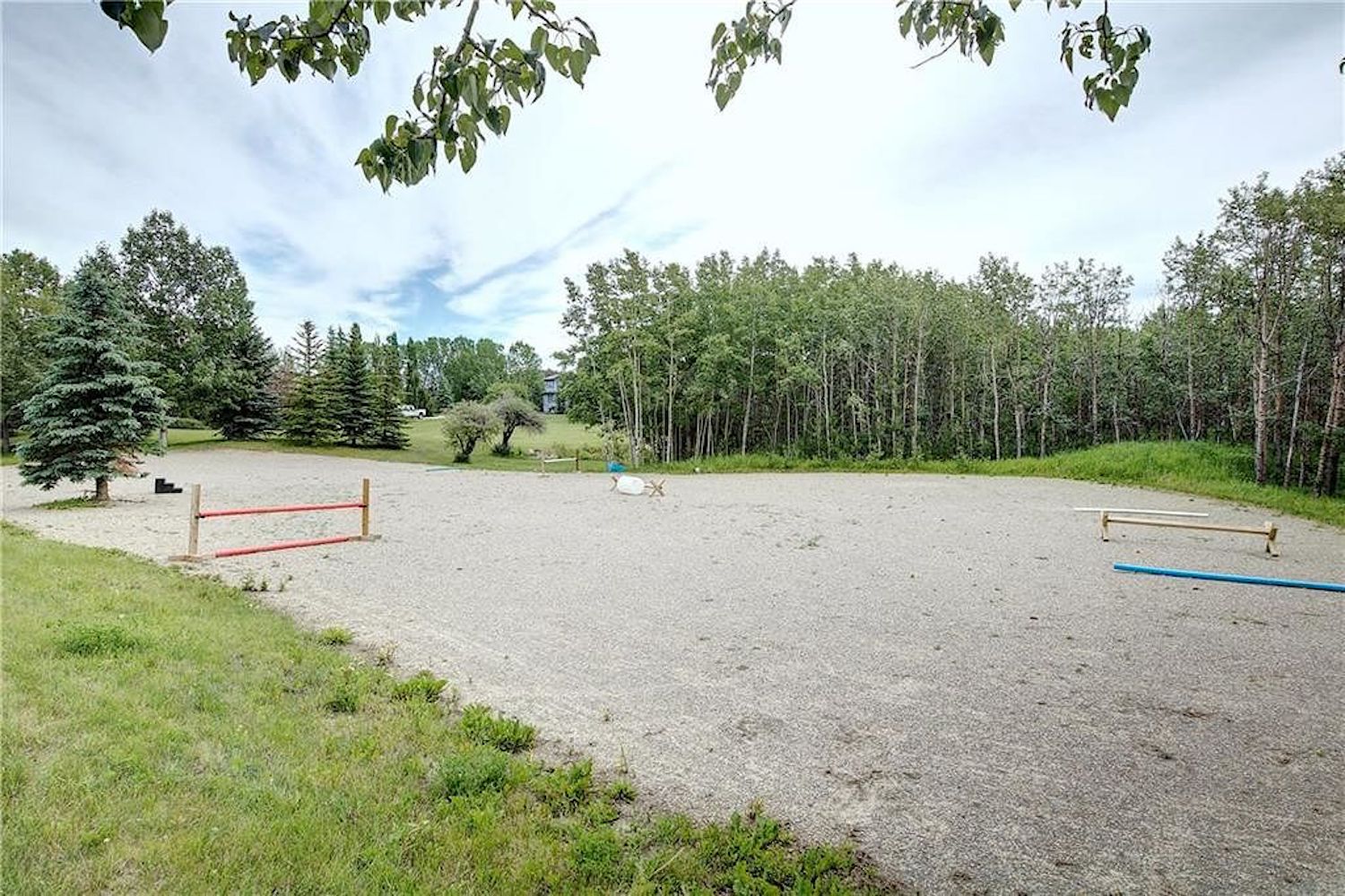 rental of the week horse