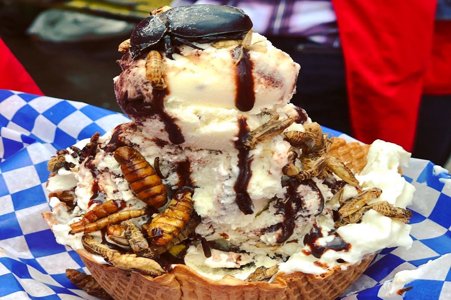 stampede food