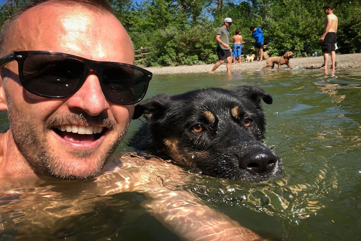 dog-friendly calgary