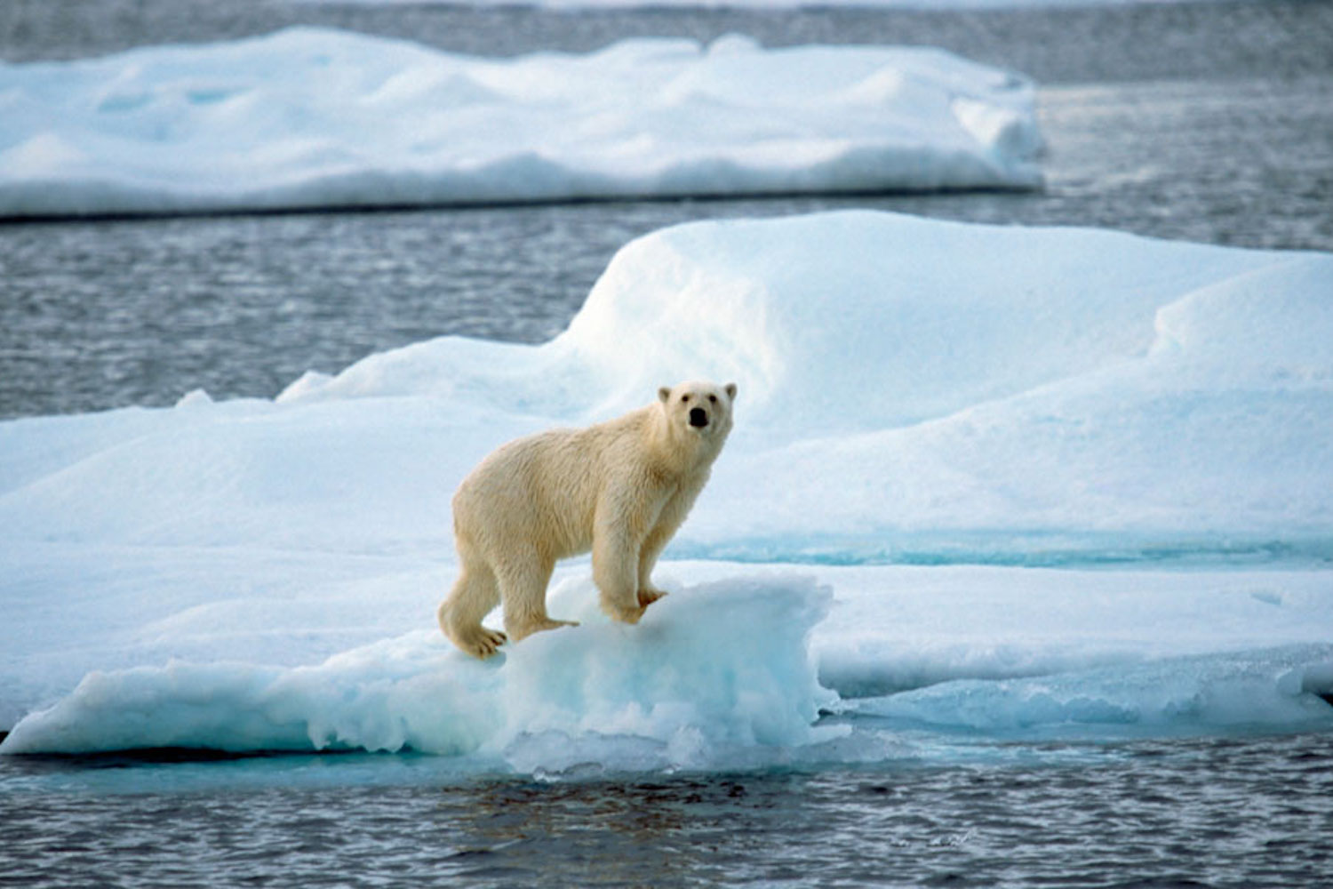 canada climate change