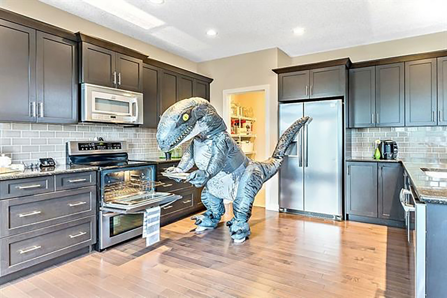 home of the week calgary