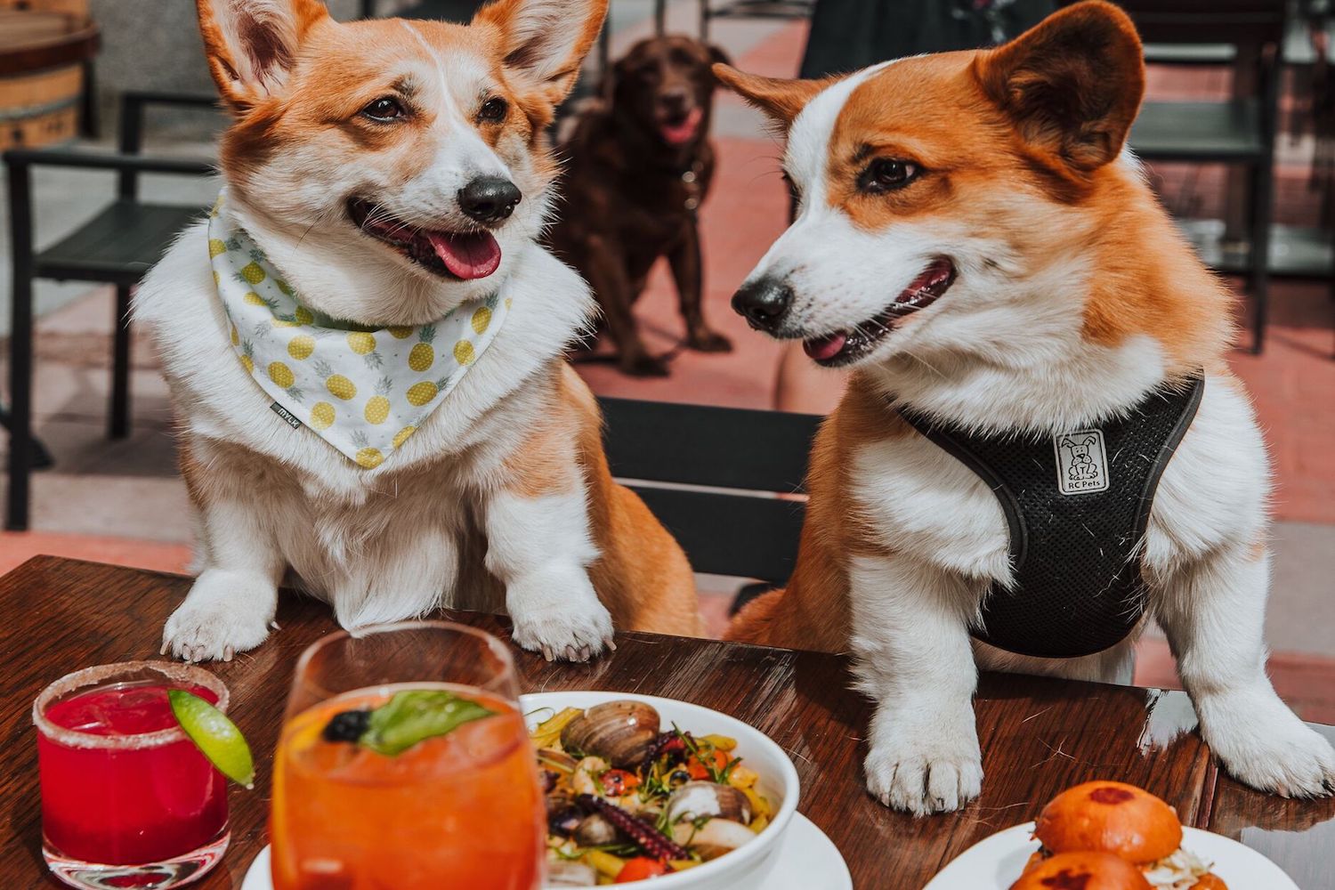 happy hour calgary