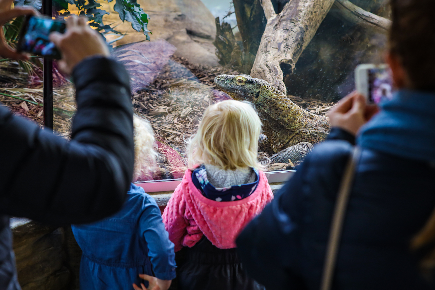 calgary zoo