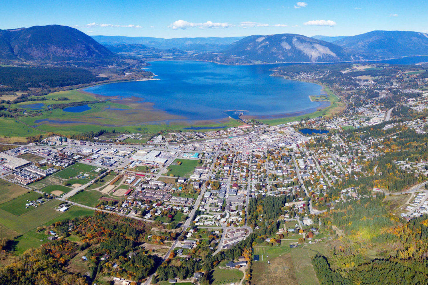 salmon arm