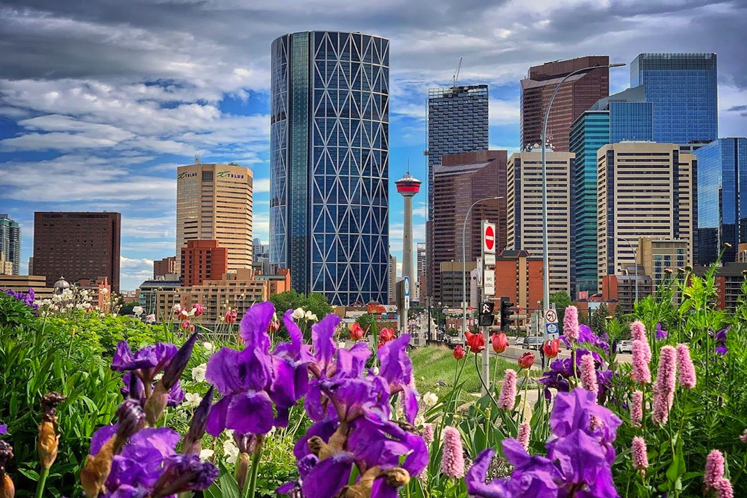 calgary gems