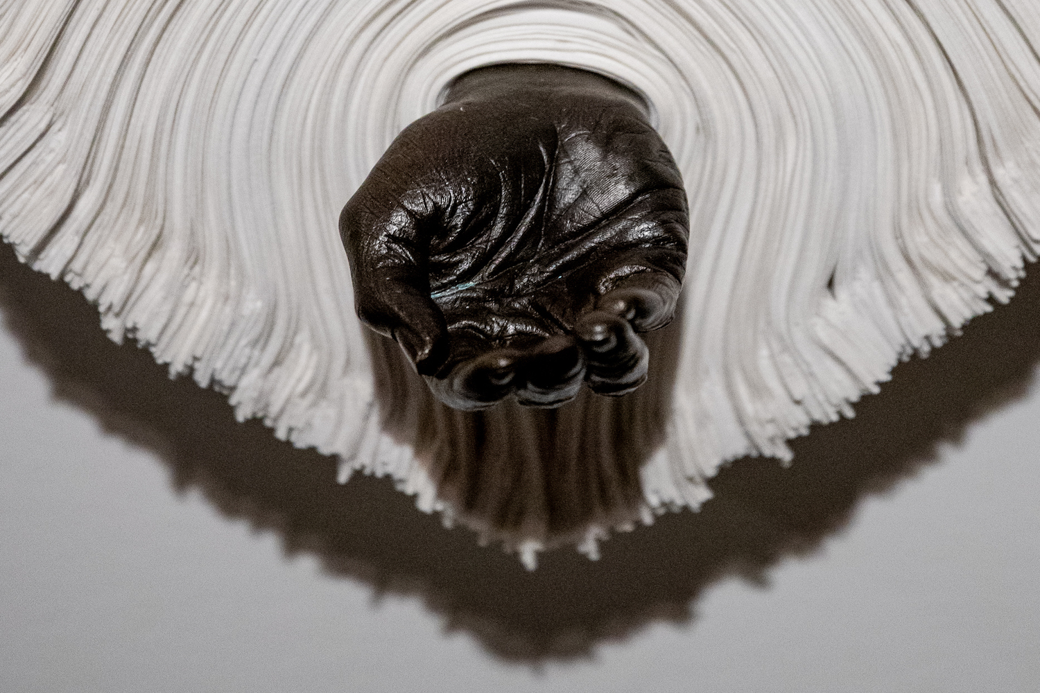 glenbow museum