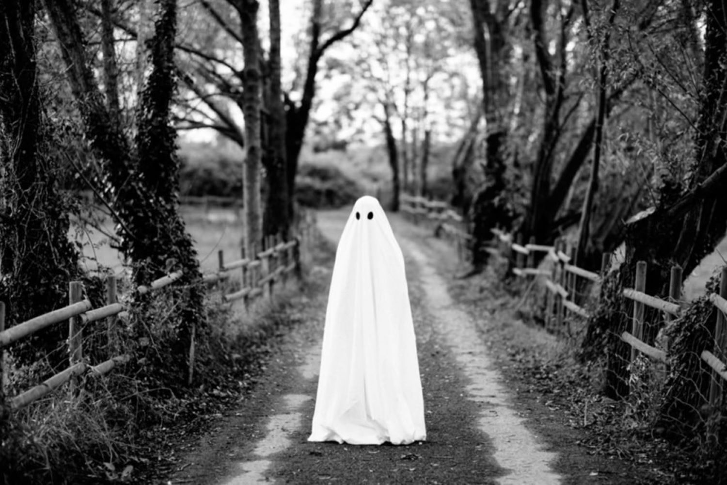 ghost in field halloween events calgary