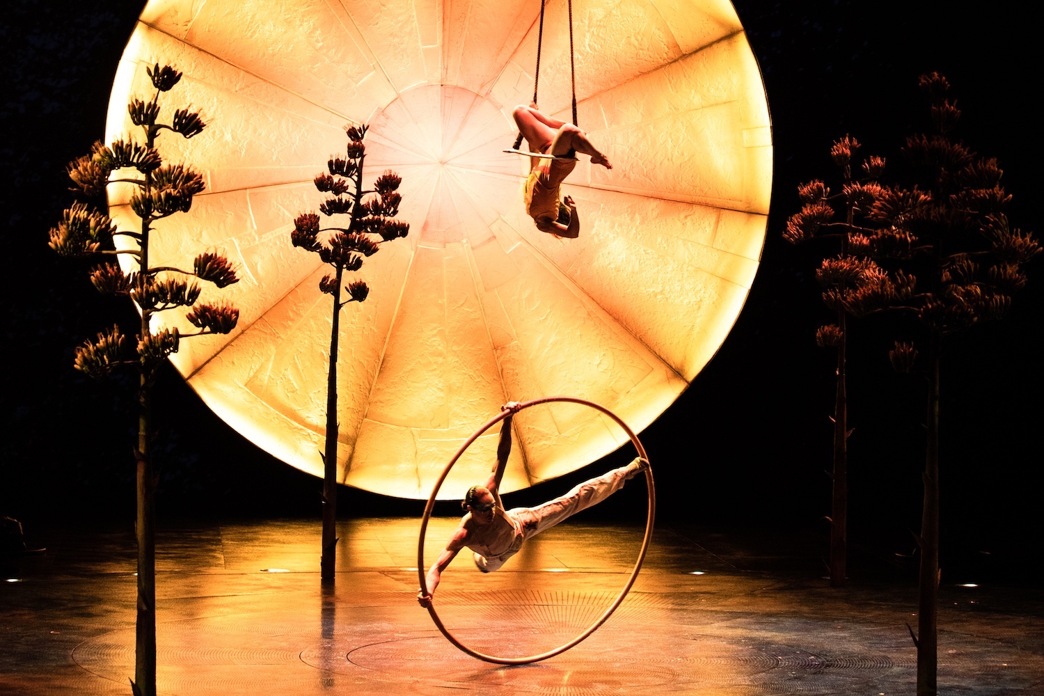luzia