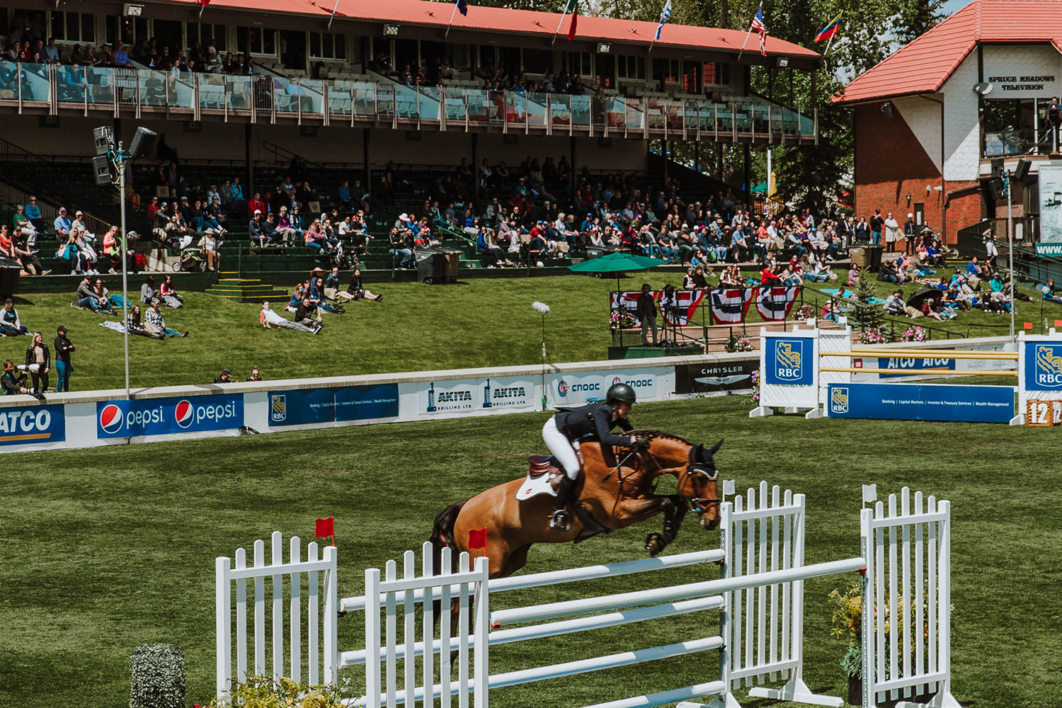 spruce meadows calgary