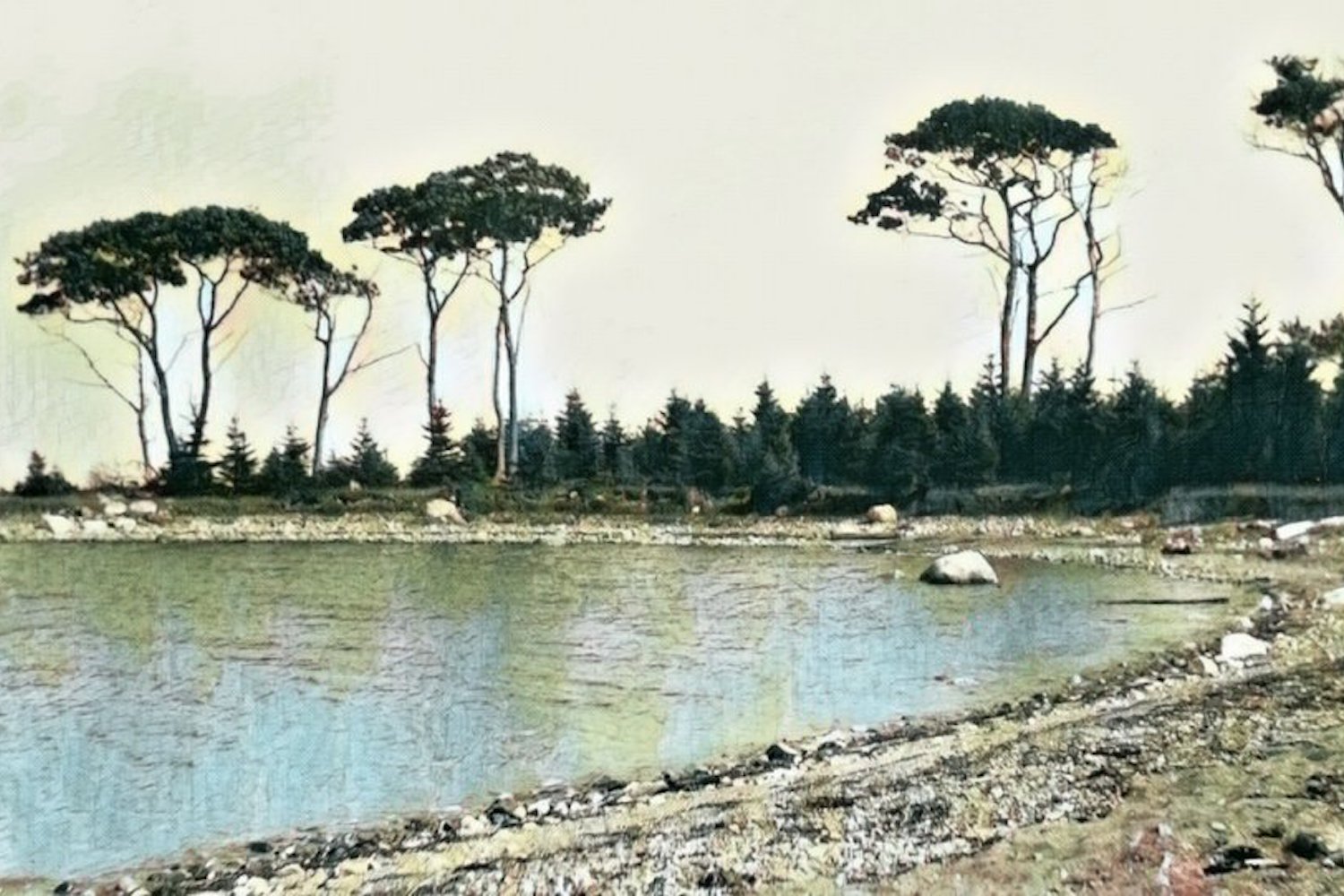 oak island