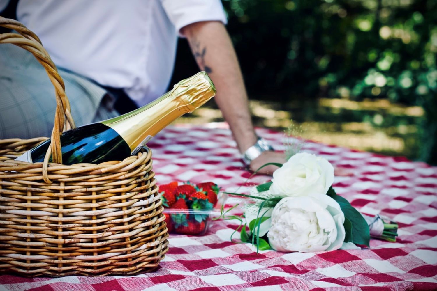 picnic