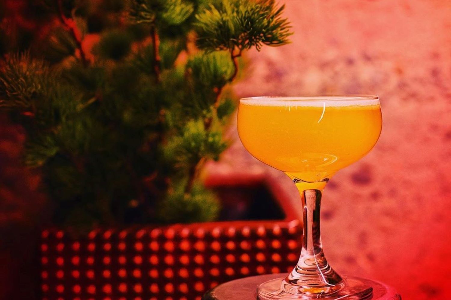 the tea house drinks