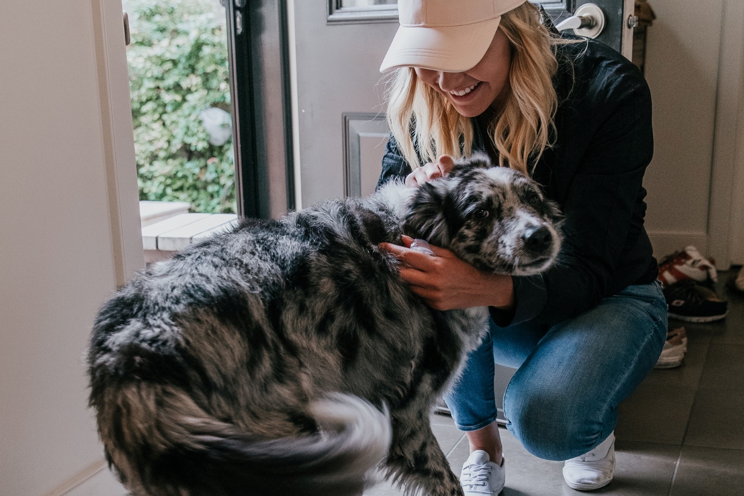 spot dog walking